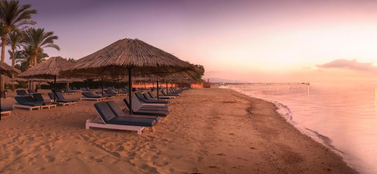 Palmera Chalets Owners Best Vacation Group Families Only アインソフナ エクステリア 写真